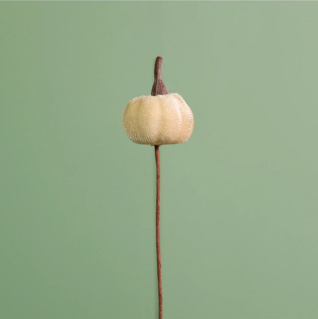 Mini velvet cream pumpkin picks - 3cm