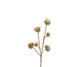 Gold beaded glittery stem