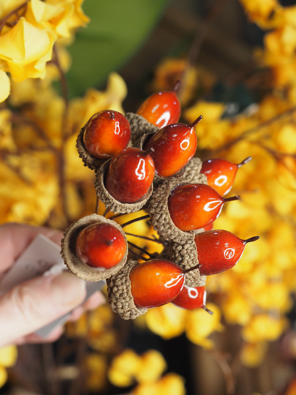 Glossy acorn pick