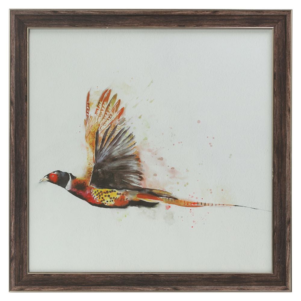 Flying pheasant framed picture