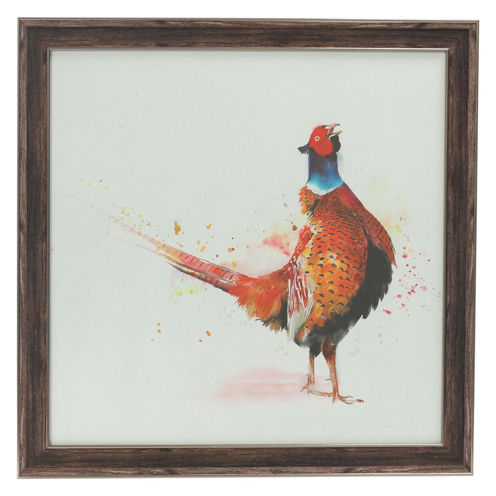 Standing pheasant framed picture