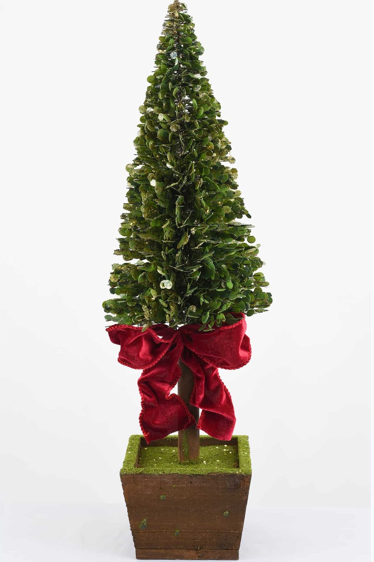 Potted boxwood tree with burgundy bow