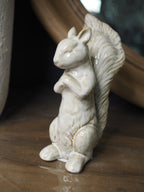 Rustic forage squirrel