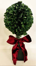 Small sparkle boxwood topiary tree with bow