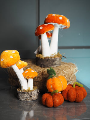 Small velvet orange standing toadstool