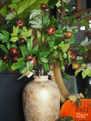Fig Branch