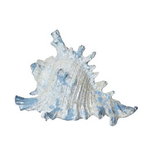 Shell ornament