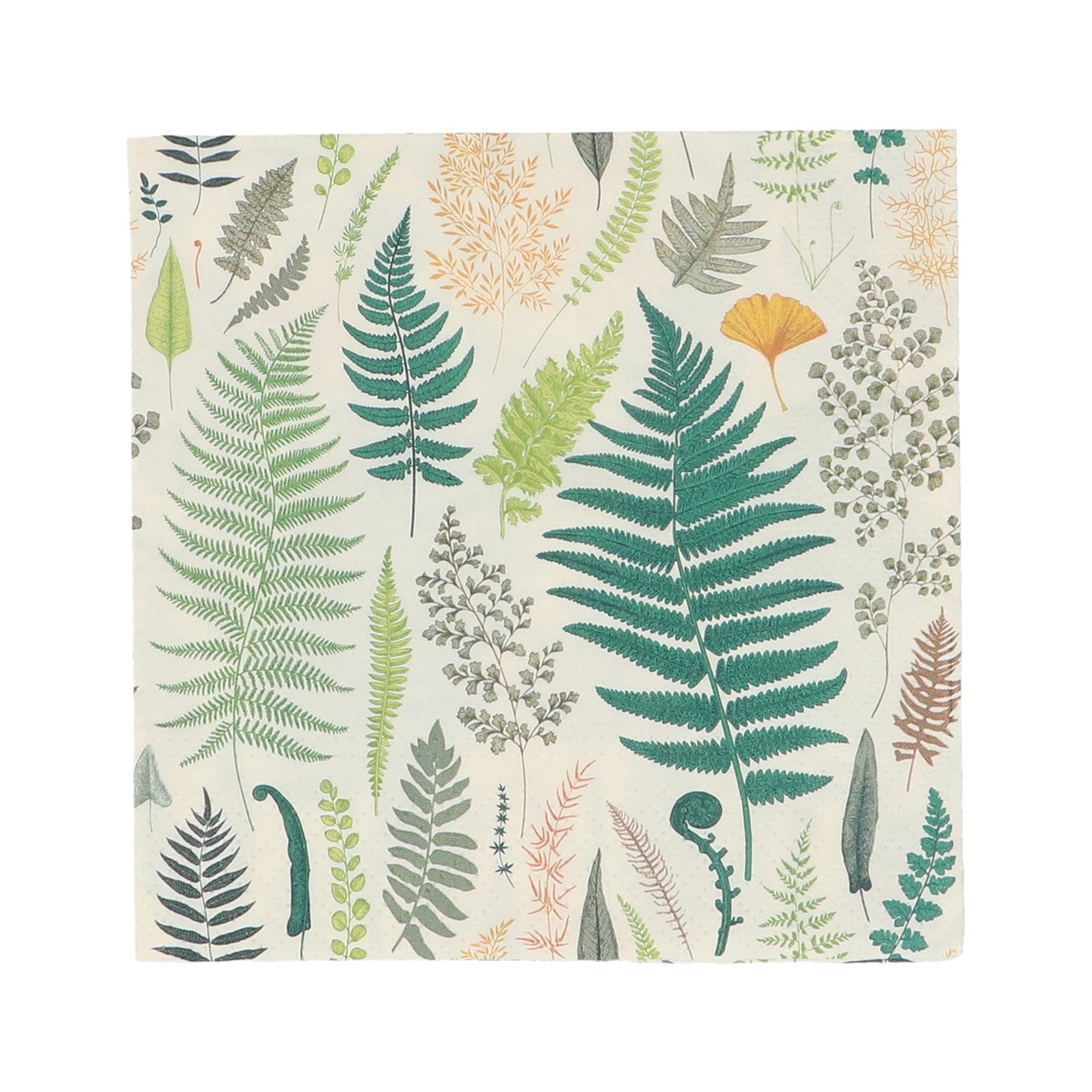 Fern print paper napkin set