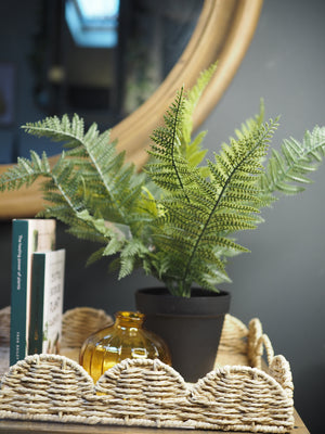 Potted faux fern