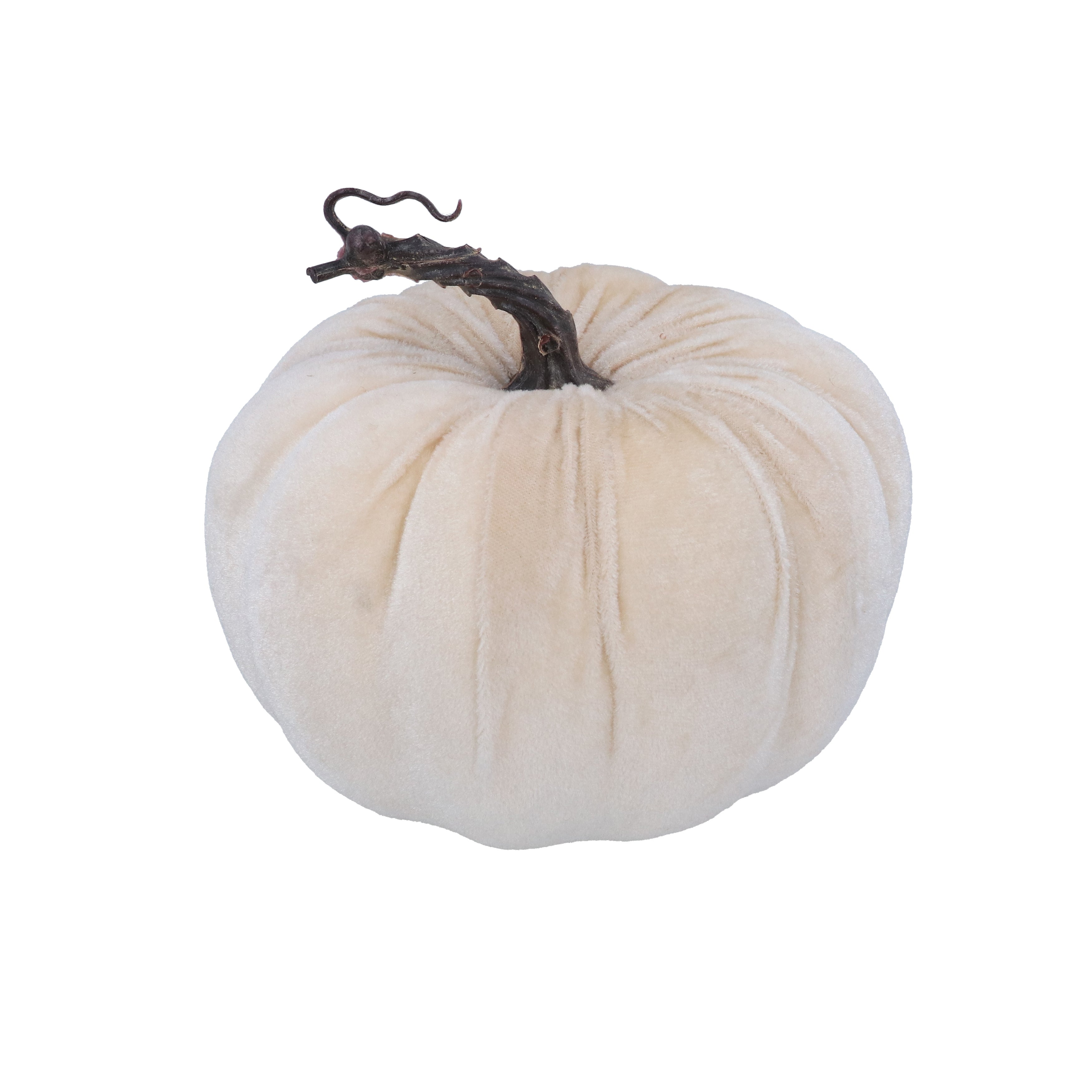 White velvet pumpkin-medium