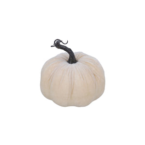 White velvet pumpkin-small