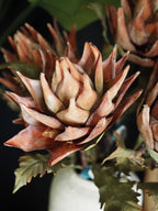 Tall Autumnal artichoke stem