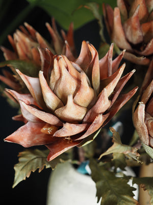Tall Autumnal artichoke stem