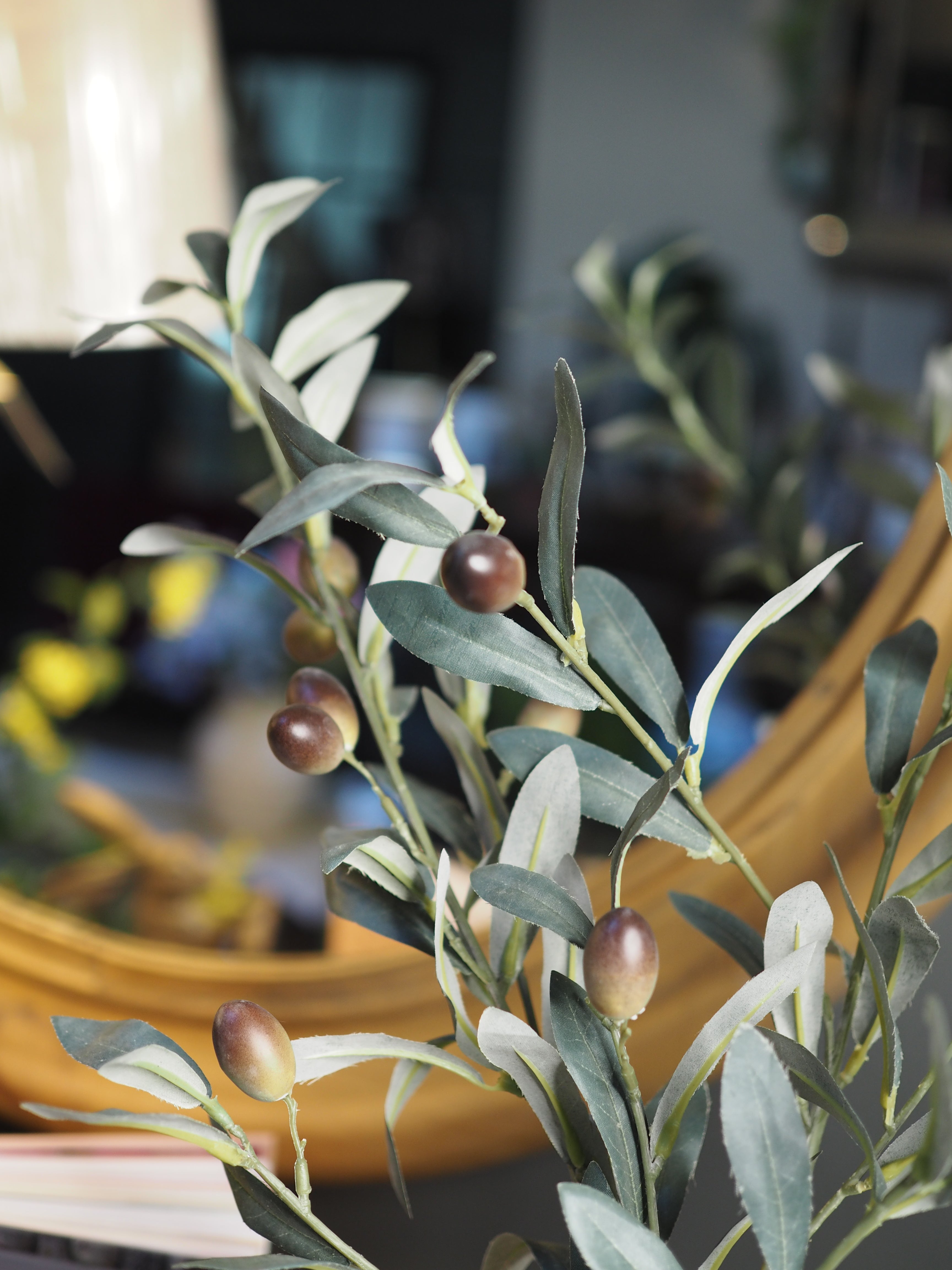 Olive branch