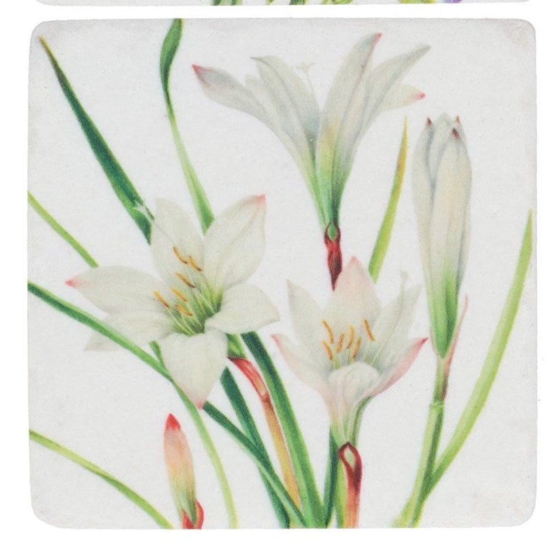 Lisianthus & crocus resin coaster
