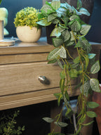 Greenwich 2 drawer console table