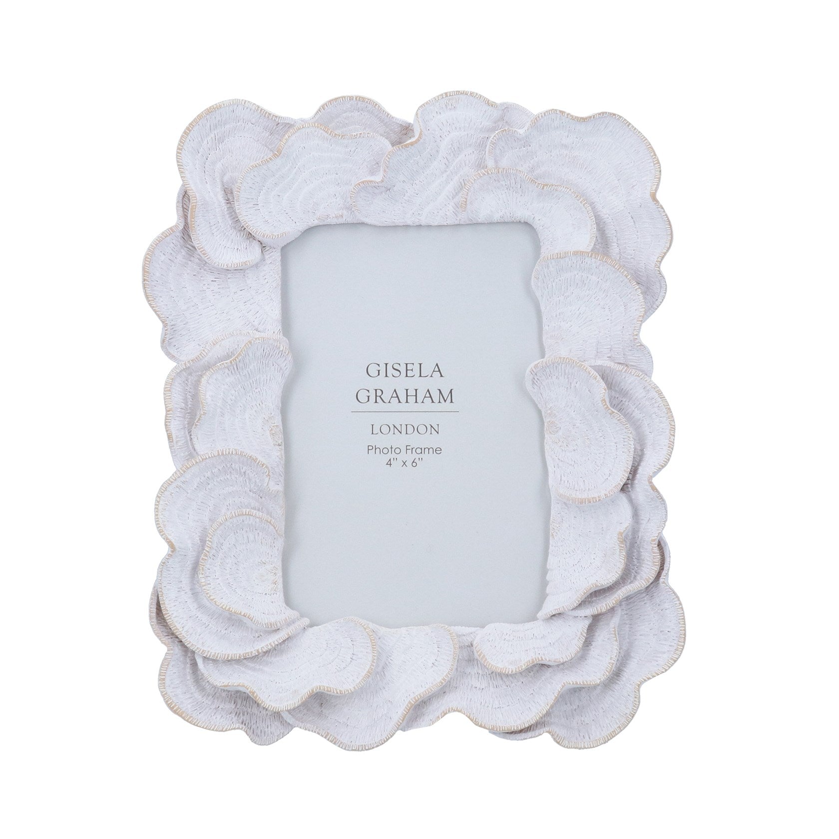Antique white oyster resin frame 4 x 6