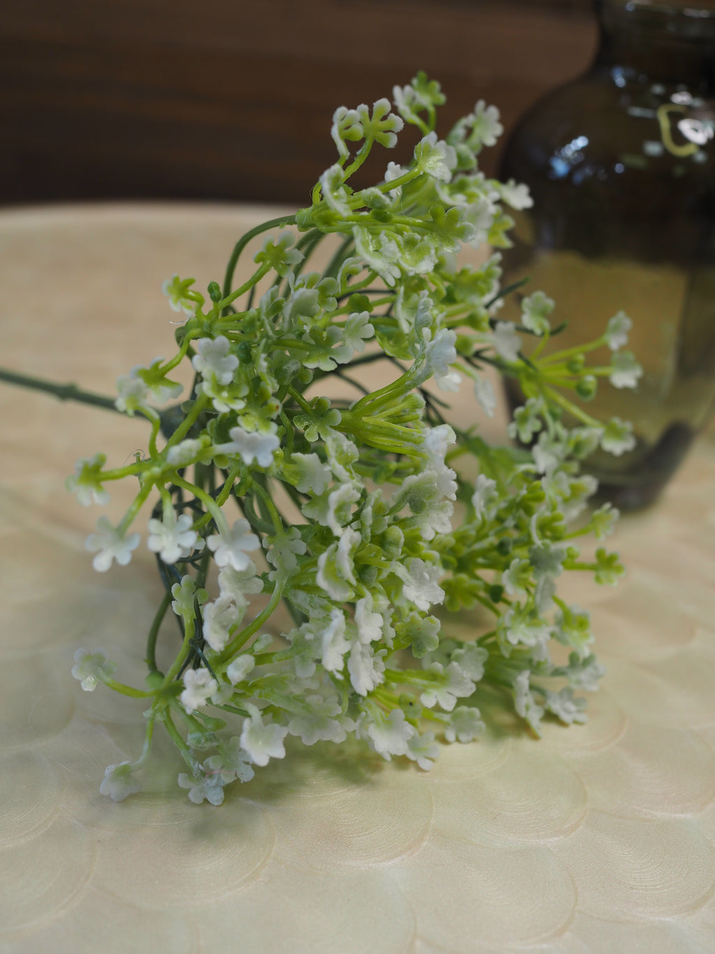White Hogweed Spray