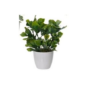 Faux plant in white pot