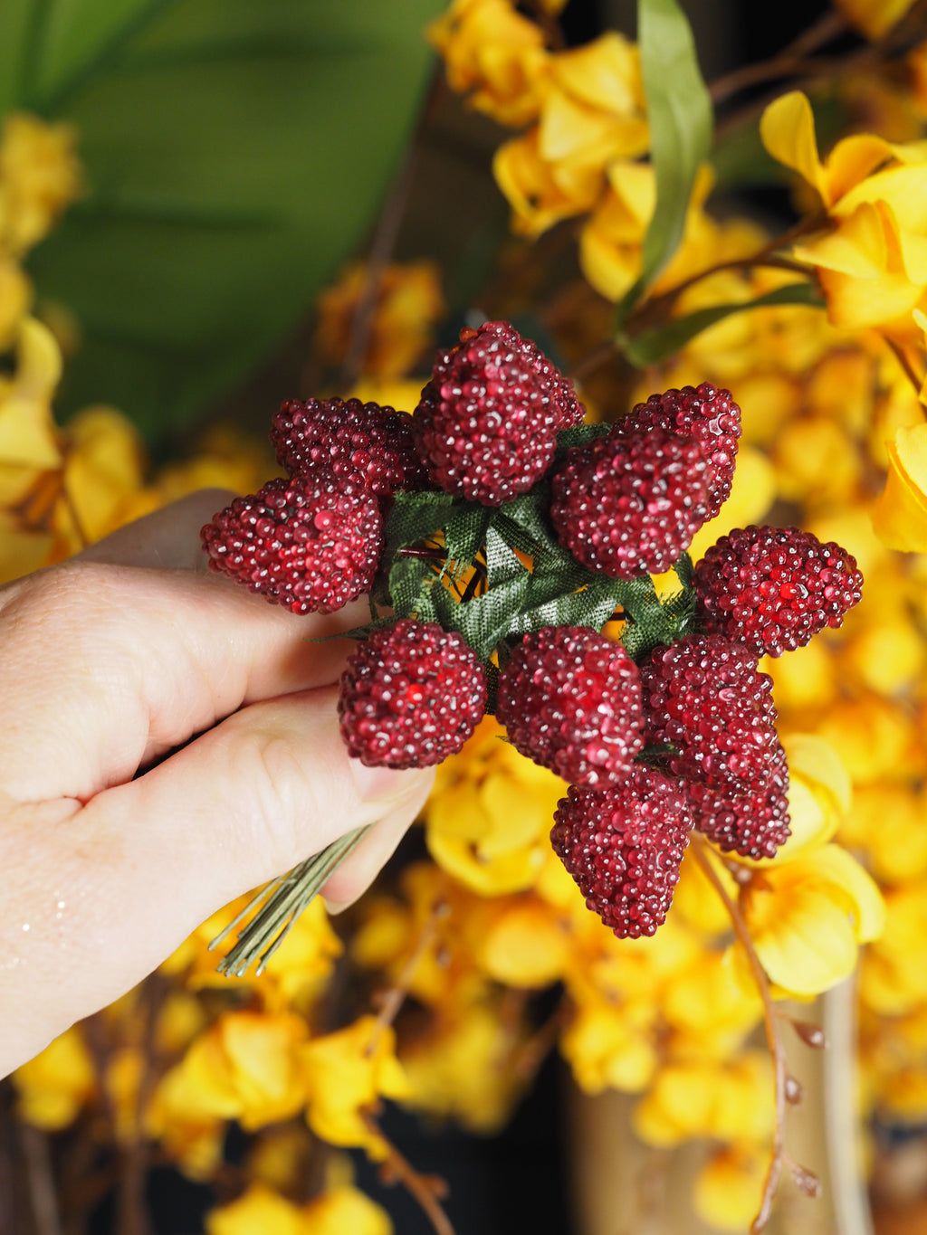 Dark red raspberry bunch pick