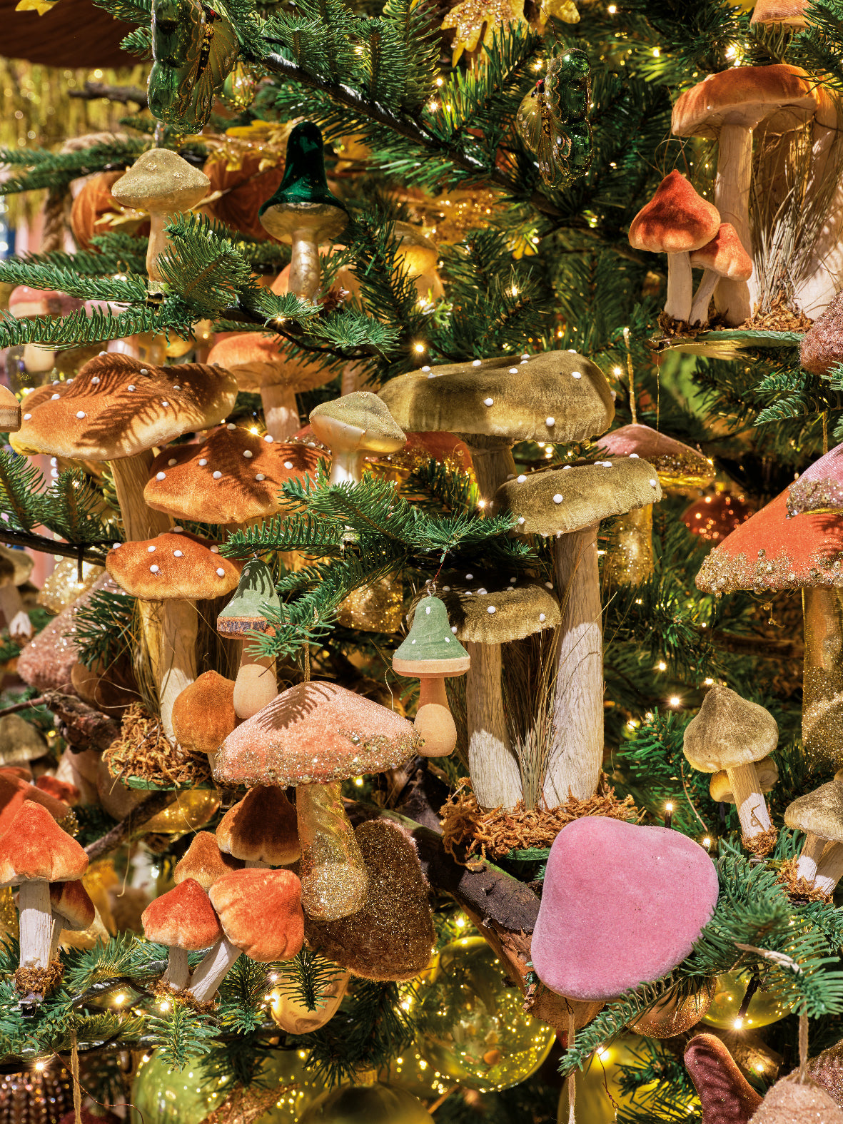 Tall Toadstool family