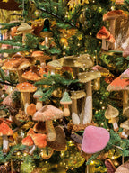 Tall Toadstool family