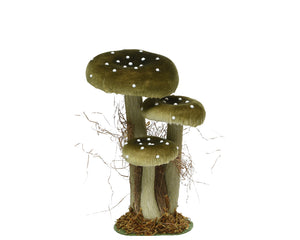 Tall Toadstool family