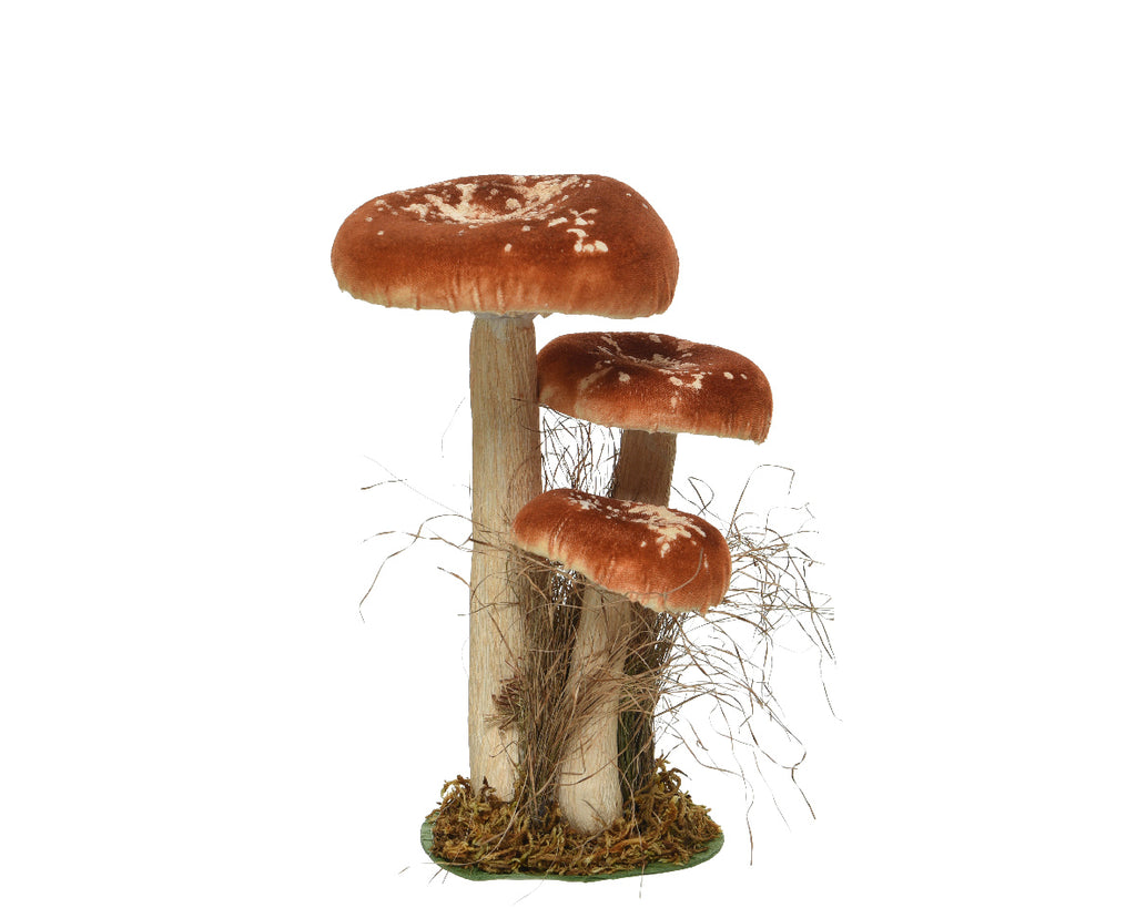 Tall Toadstool family