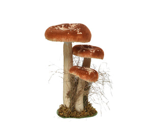 Tall Toadstool family