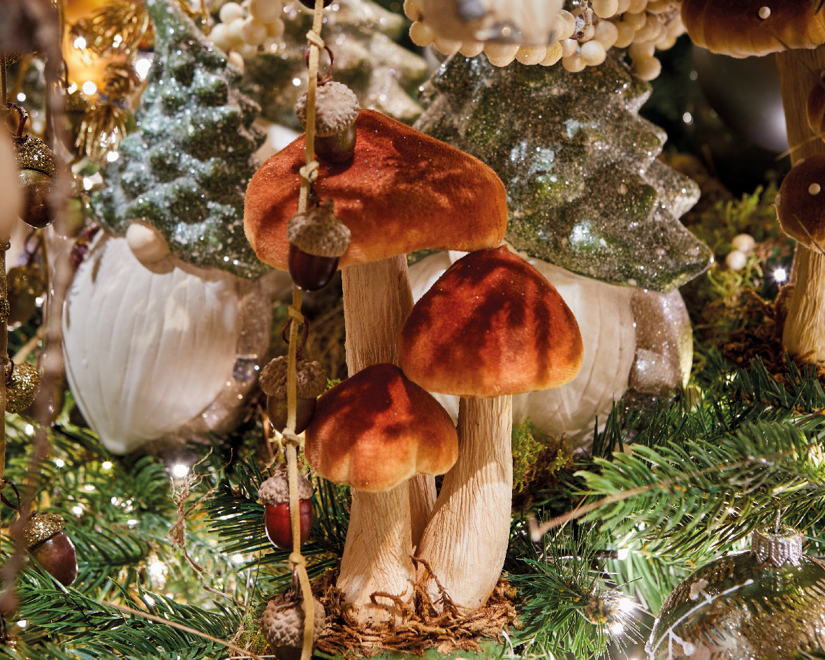 Medium toadstool family