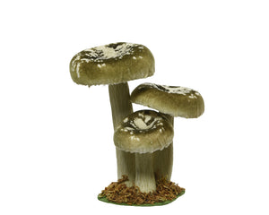 Medium Toadstool family