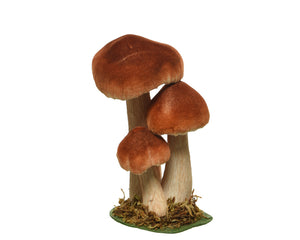 Medium Toadstool family