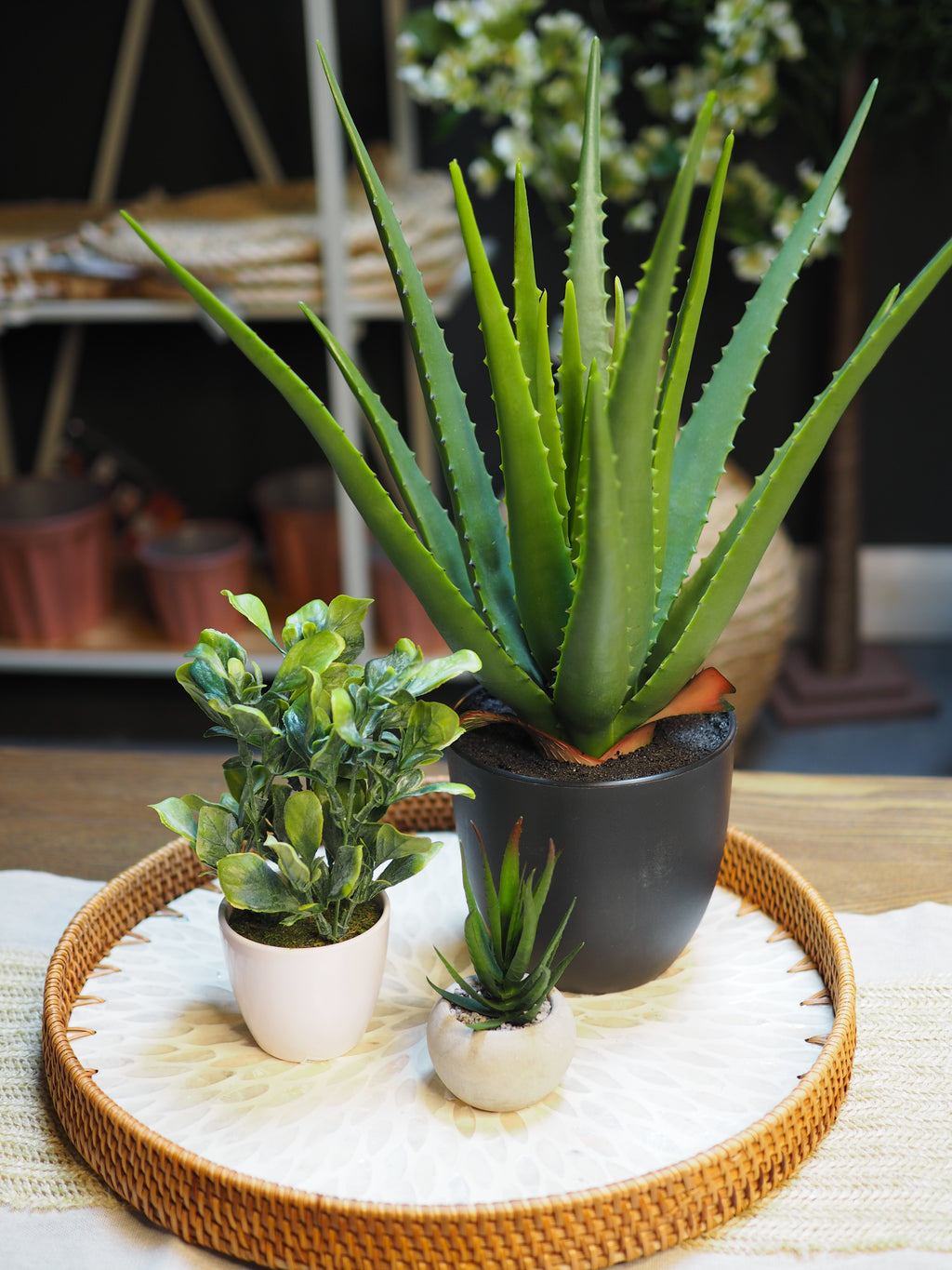 Potted faux aloe vera