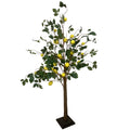 Lemon tree