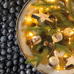 Micro LED string lights (20 LED warm white lights)