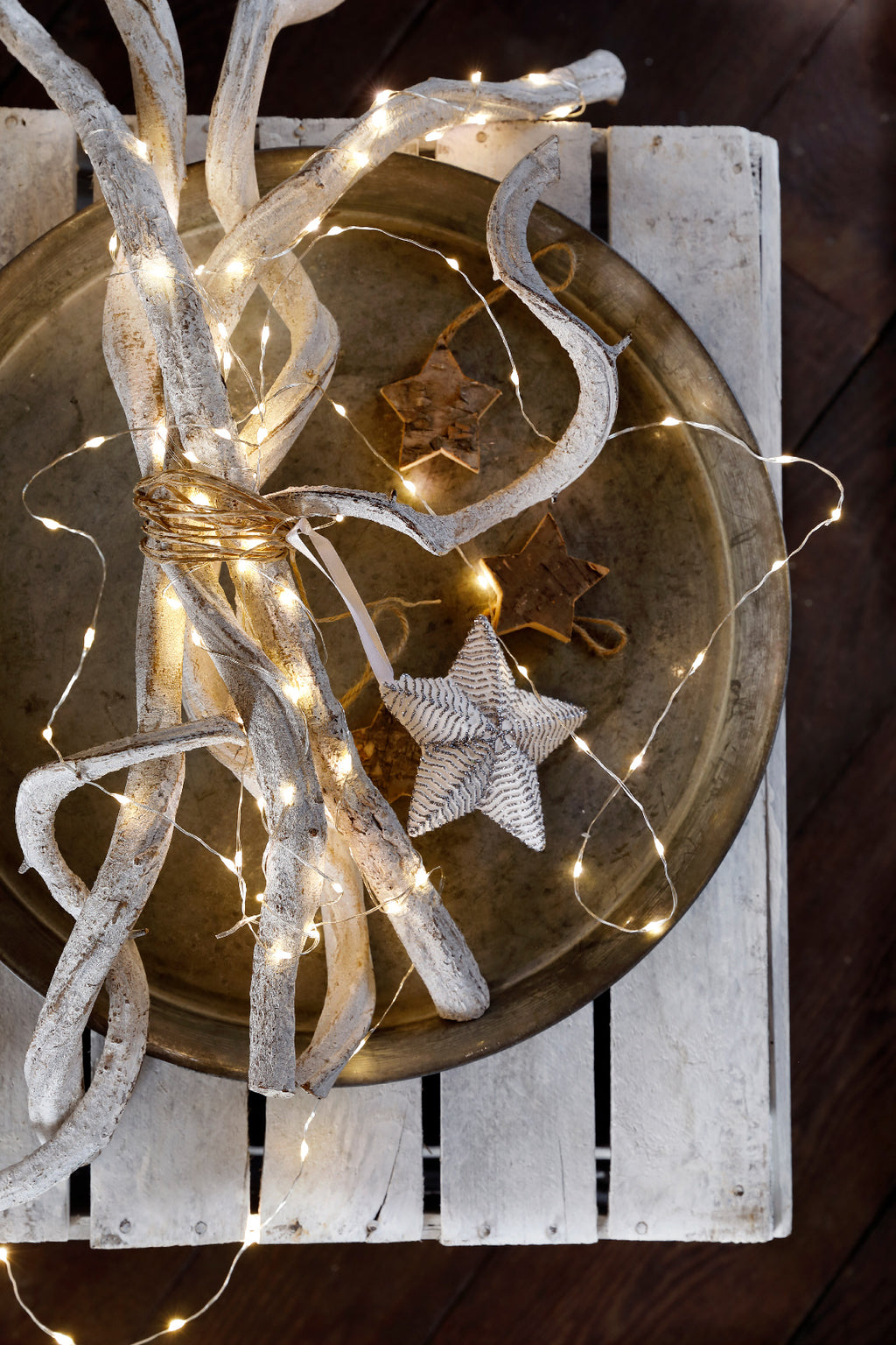 Micro LED string lights (20 LED warm white lights)