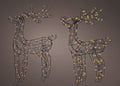 Micro Led Outdoor Reindeers