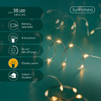 Micro LED string lights (50 LED classic warm lights)