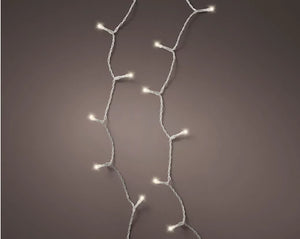 24 LED battery operated warm white lights on clear wire (in/outdoor)