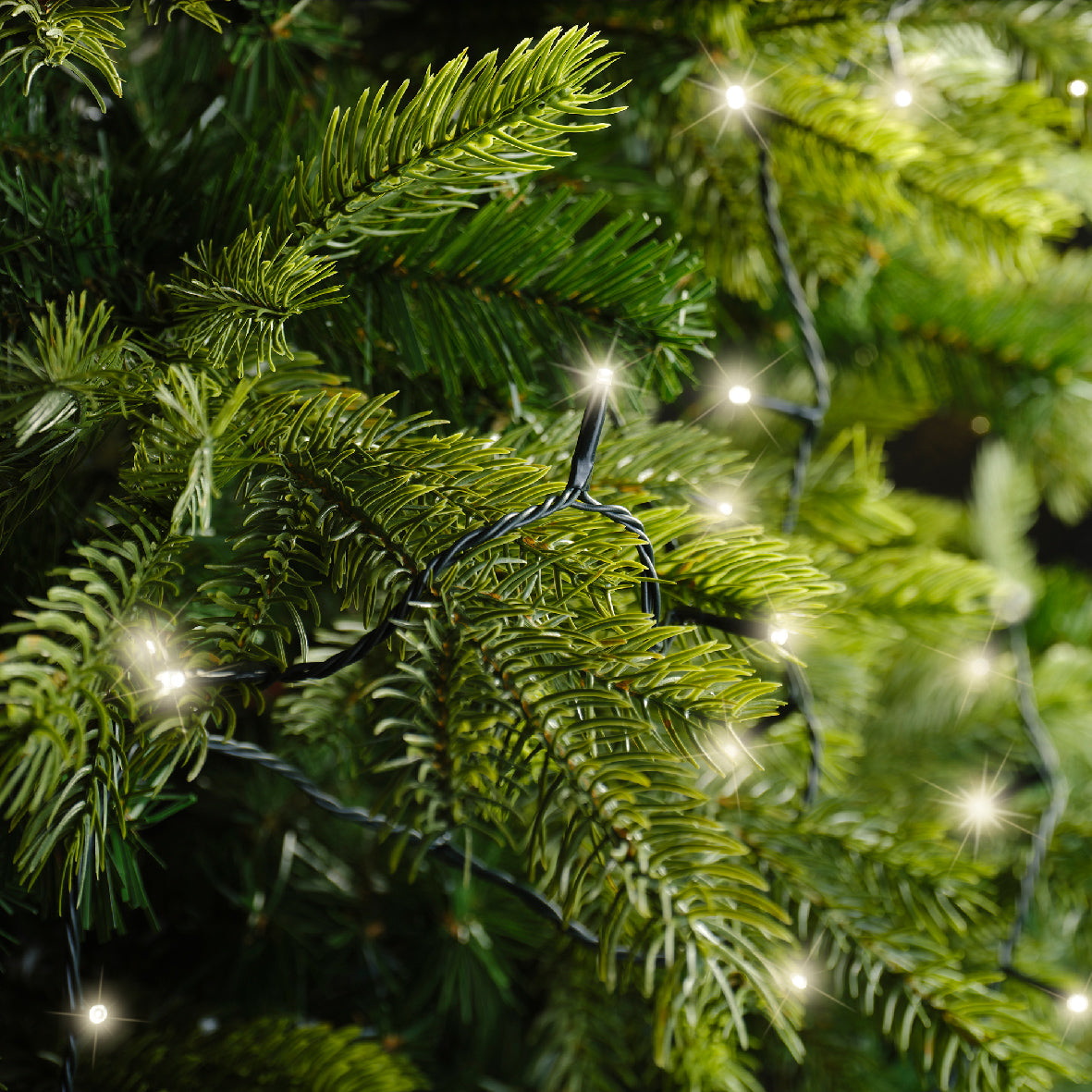 240 LED Twinkle Tree Lights Warm white
