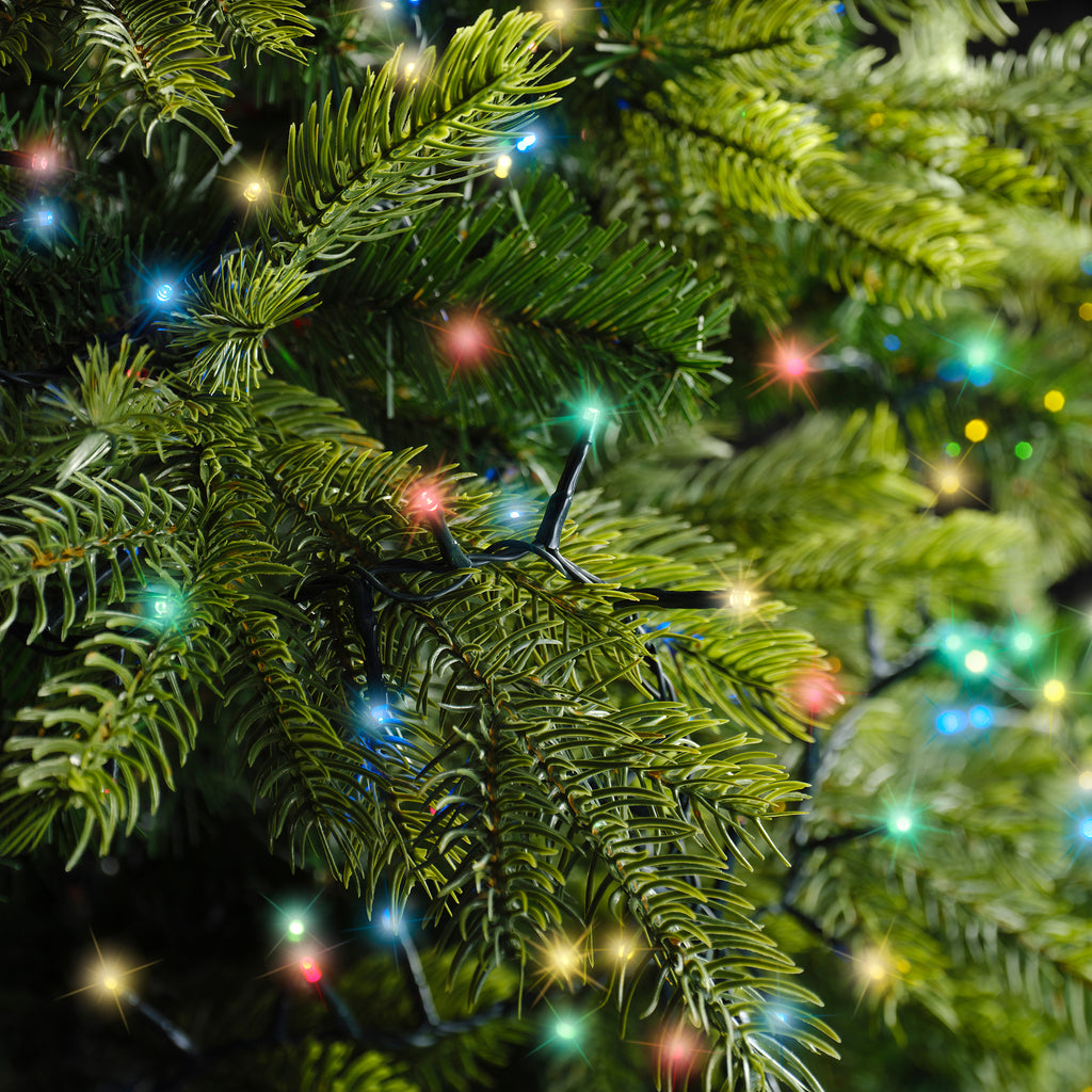 500 LED compact multi colour lights on green cable