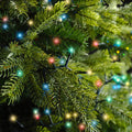 1500 LED compact multi-coloured lights on green cable