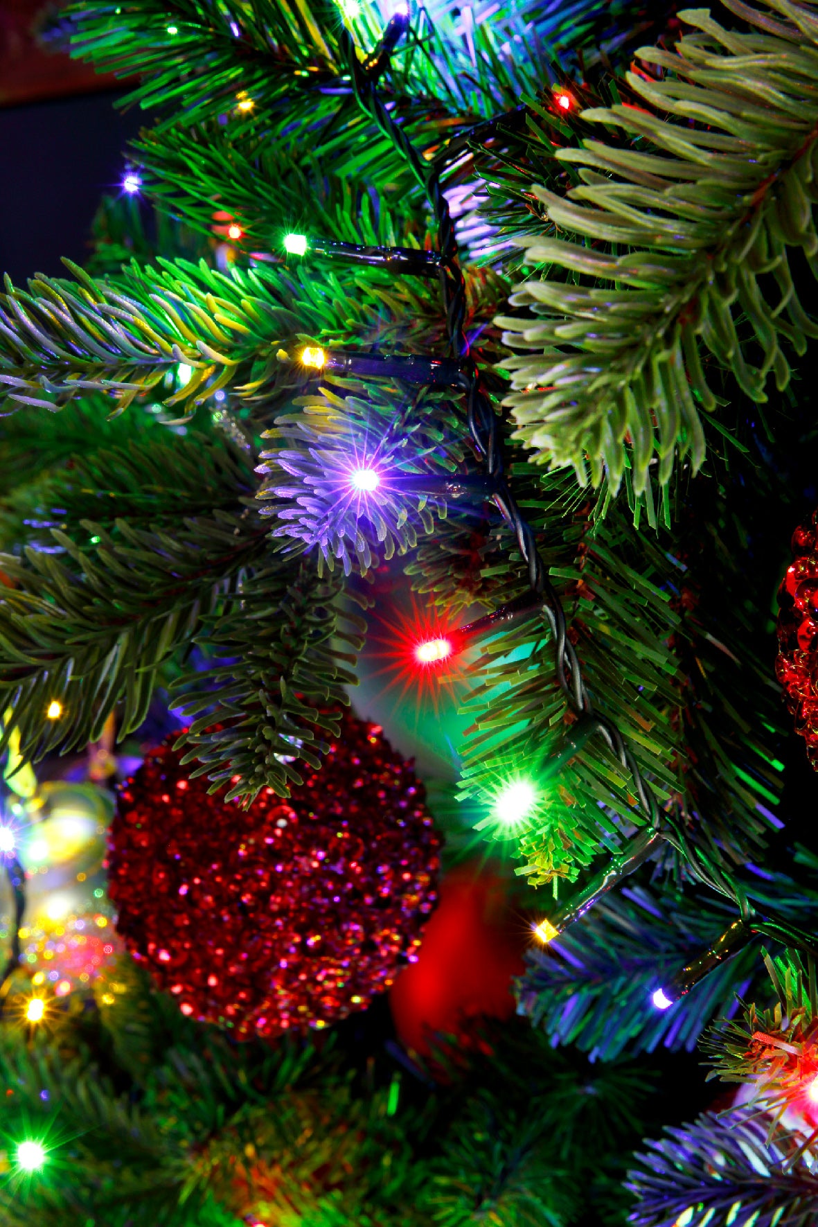1000 LED Compact Multi Coloured Lights on Green Cable