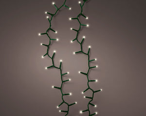 1000 LED compact warm white lights on green cable