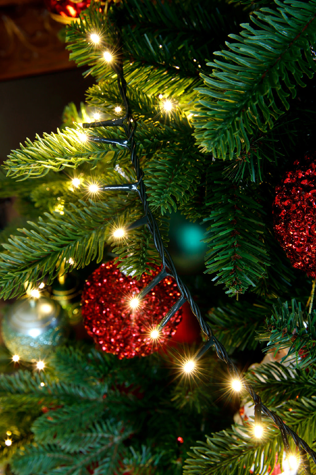 2000 LED Compact warm white lights on green cable