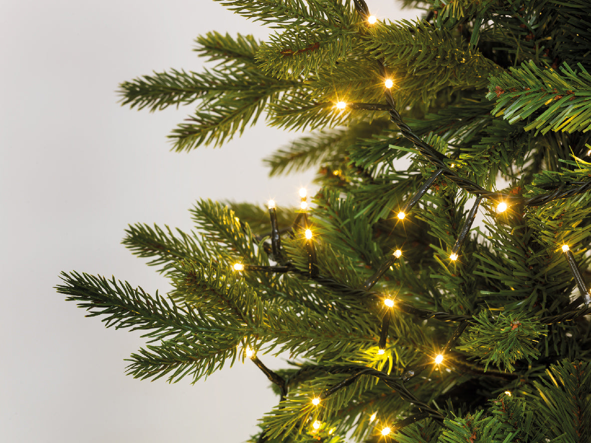 1000 LED compact warm white lights on green cable