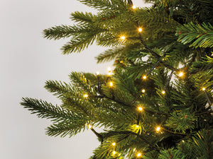 1000 LED compact warm white lights on green cable