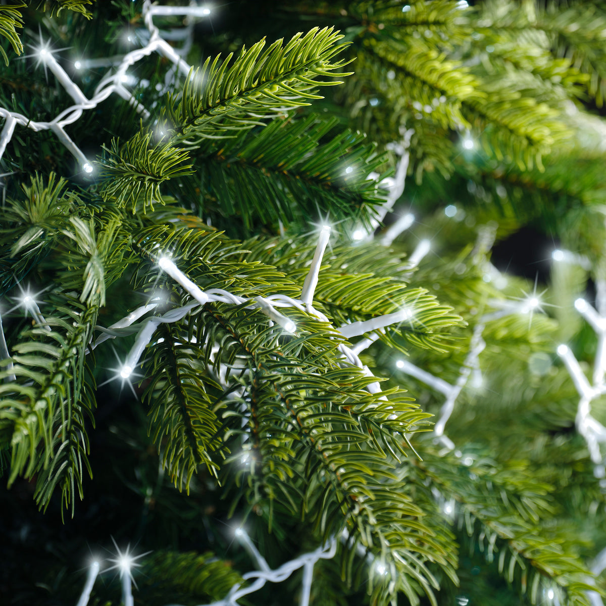1000 LED compact tree cool white lights with white wire