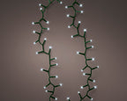 1500 LED compact cool white lights on green cable