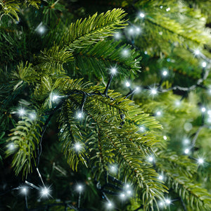 2000 LED compact cool white lights on green cable